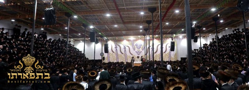 די גרעסטע סוכה — דעקארירטע וואנט