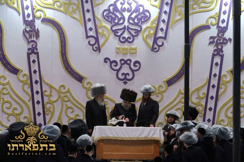 סוכה וואנט — פרטים