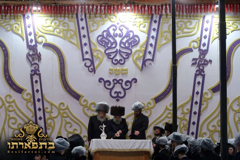 סוכה וואנט — פרטים